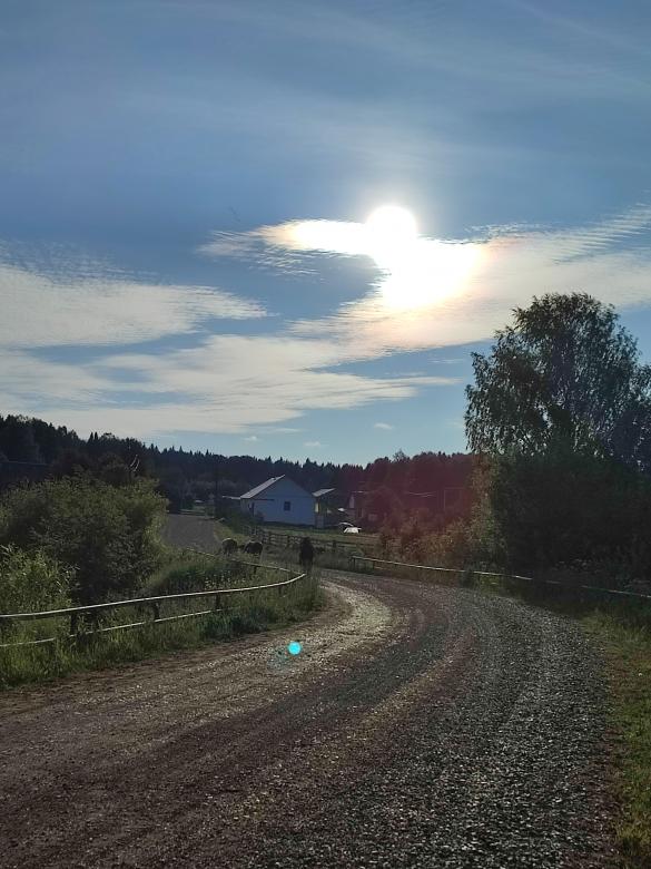 Free stock image of Country Road created by Egemen Mustafa Şener