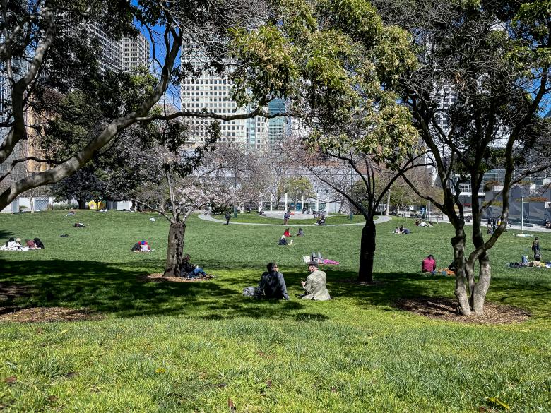 Free stock image of Sunny park day created by Matt Bango