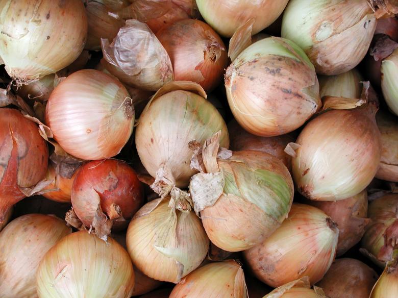 Free stock image of Bunch of Onions created by Secret Agency
