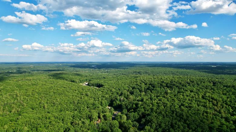Free stock image of Scenic forest landscape created by JJ Sky