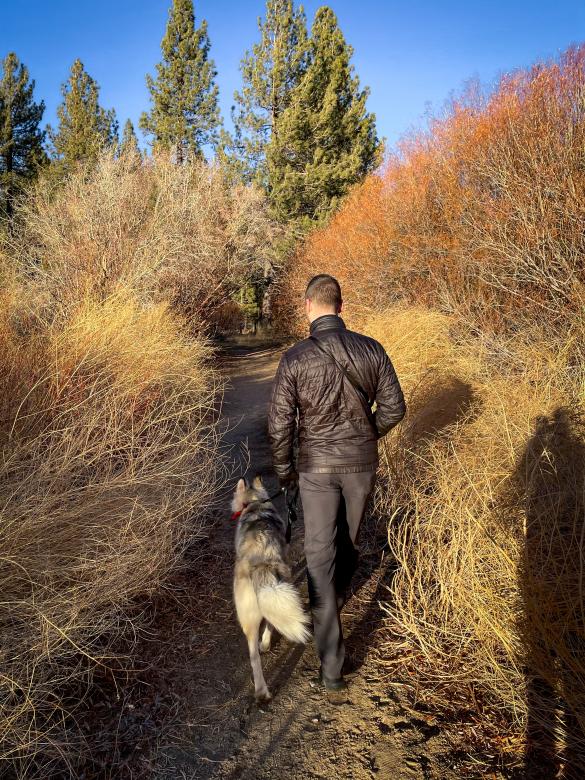 Free stock image of Man walking dog created by Matt Bango