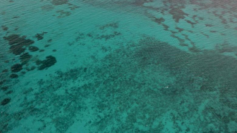 Free stock image of Ocean Aqua Background created by JJ Sky