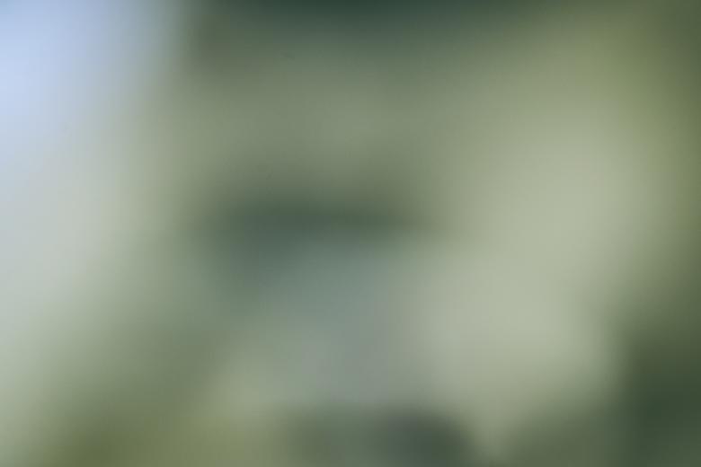 Free stock image of Green defocus background created by HD Wallpapers
