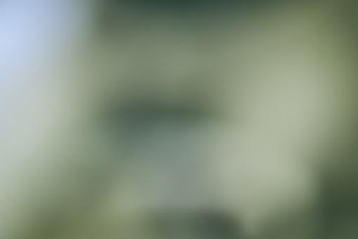 Green defocus background - Free Stock Photo
