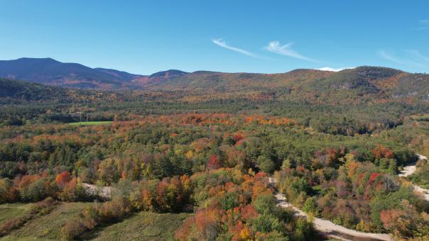 Fall Landscape - Free Stock Photo