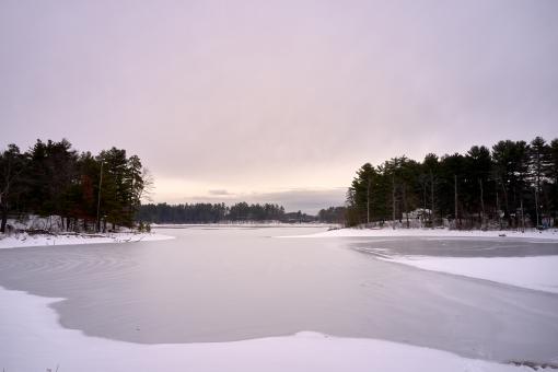 Frozen pond landscape