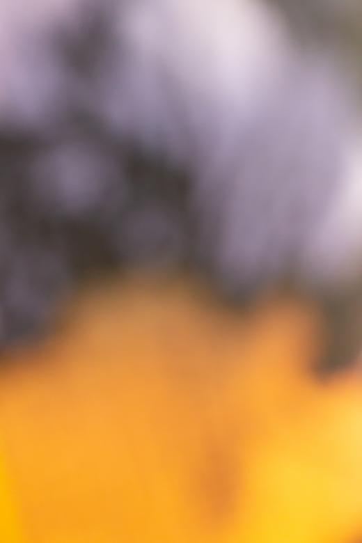 Free stock image of Bokeh Defocus Abstract created by HD Wallpapers
