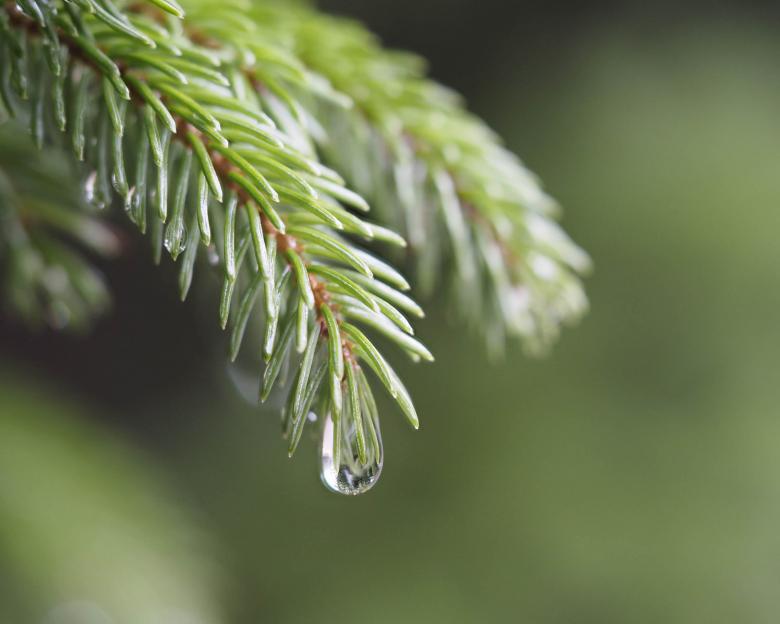 Free stock image of Water droplet created by Geoffrey Whiteway
