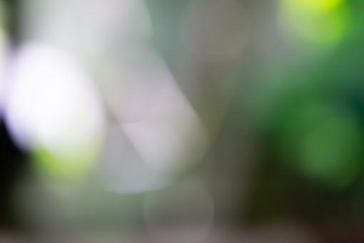 Bokeh defocus background - Free Stock Photo