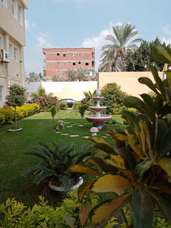 Free stock image of Our beautiful home garden  created by mahmoud osama
