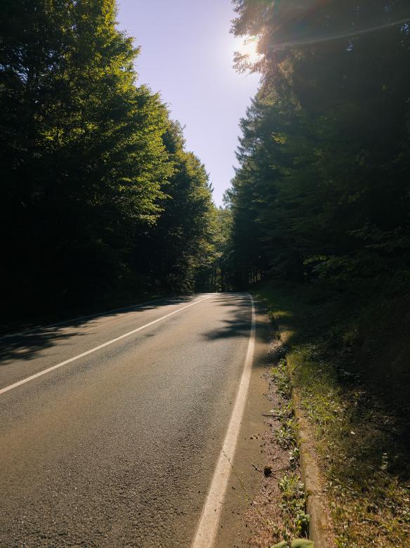 Free stock image of Road created by Alen