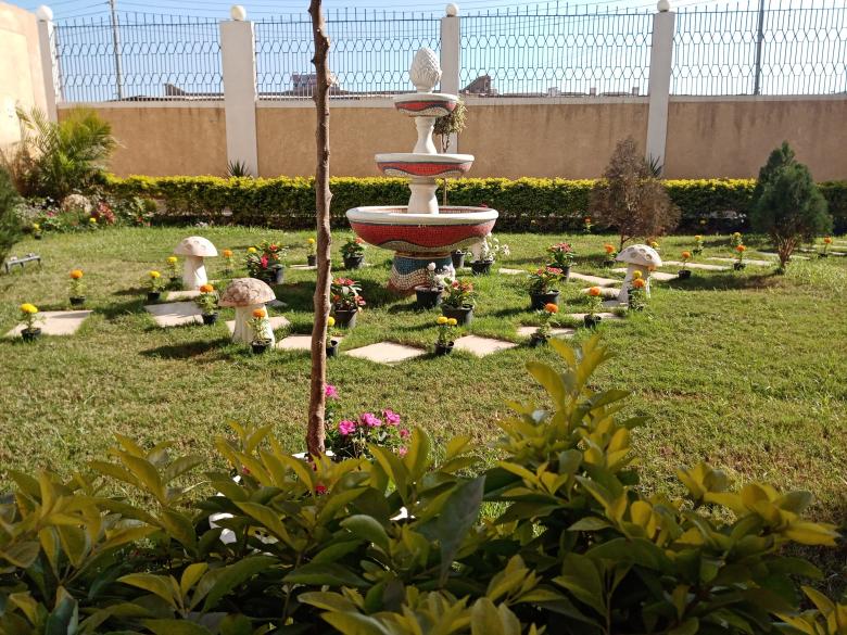 Free stock image of Garden decorated with plants created by mahmoud osama