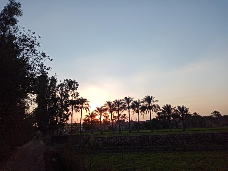 Free stock image of Warm sunset created by mahmoud osama