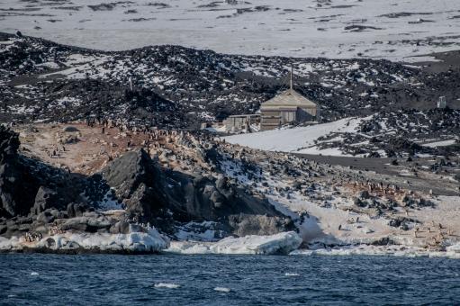 An adélie penguin rookery is seen in front 