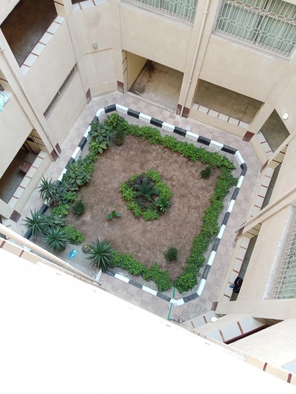 Free stock image of Courtyard garden created by mahmoud osama