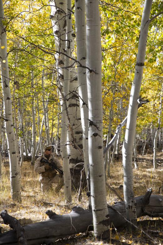 Free stock image of Marines in the Mountains created by Aqeela_Image