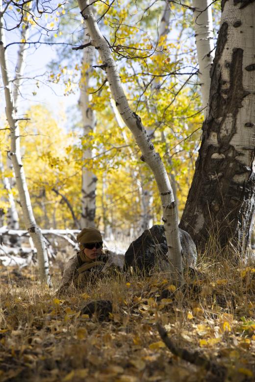 Free stock image of Marines in the Mountains created by Aqeela_Image