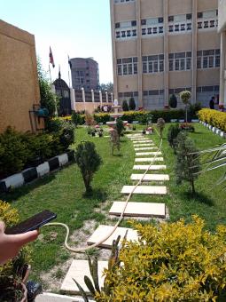 The most beautiful green garden