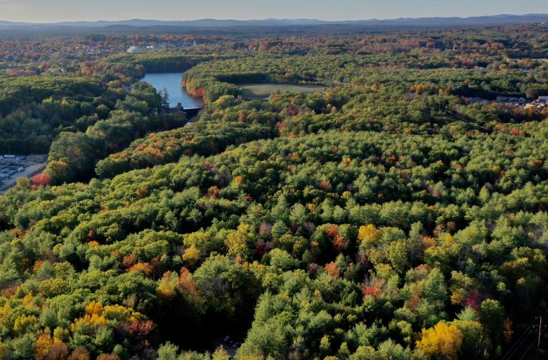 Free stock image of Fall forest aerial created by JJ Sky