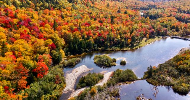 Fall aerial landscape