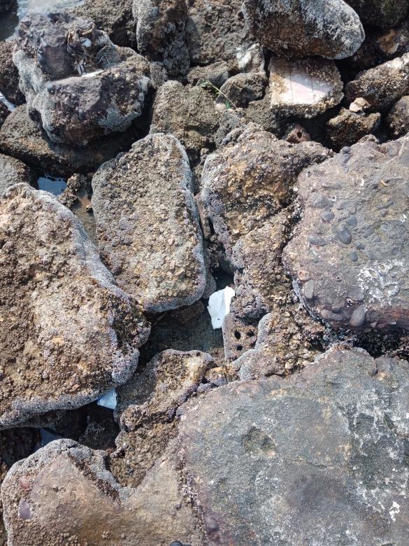 Free stock image of Rocks on the beach created by mahmoud osama