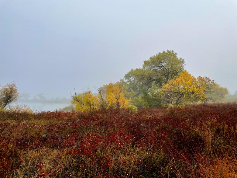 Free stock image of Colorful fall landscape created by Matt Bango