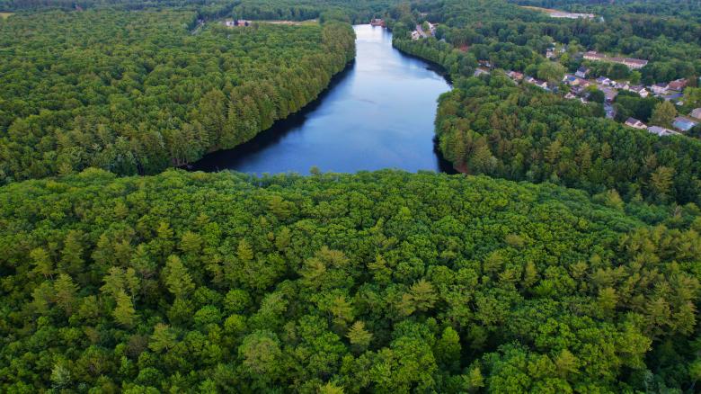 Free stock image of Forest River Aerial created by JJ Sky