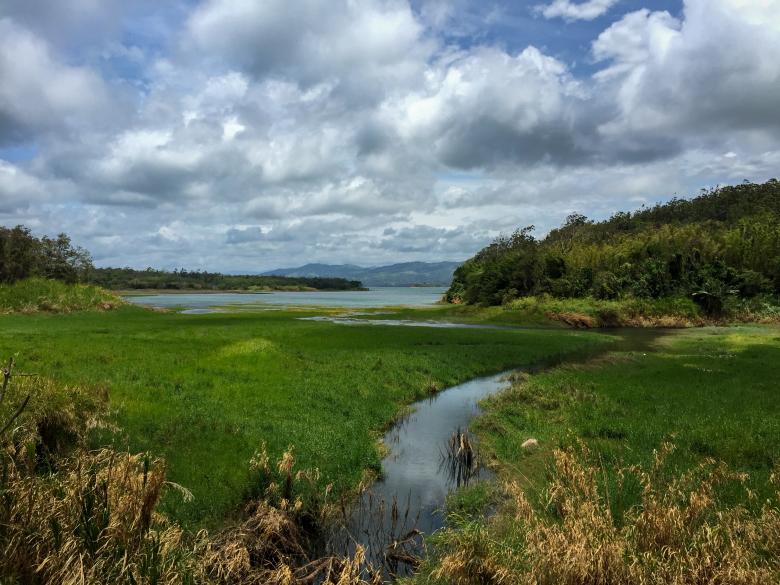Free stock image of Rural green landscape created by Matt Bango