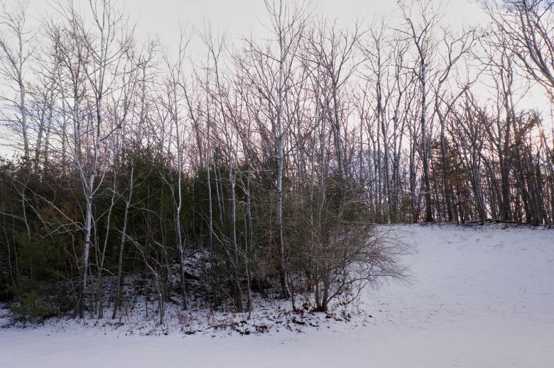 Free stock image of Winter woods created by JJ Sky