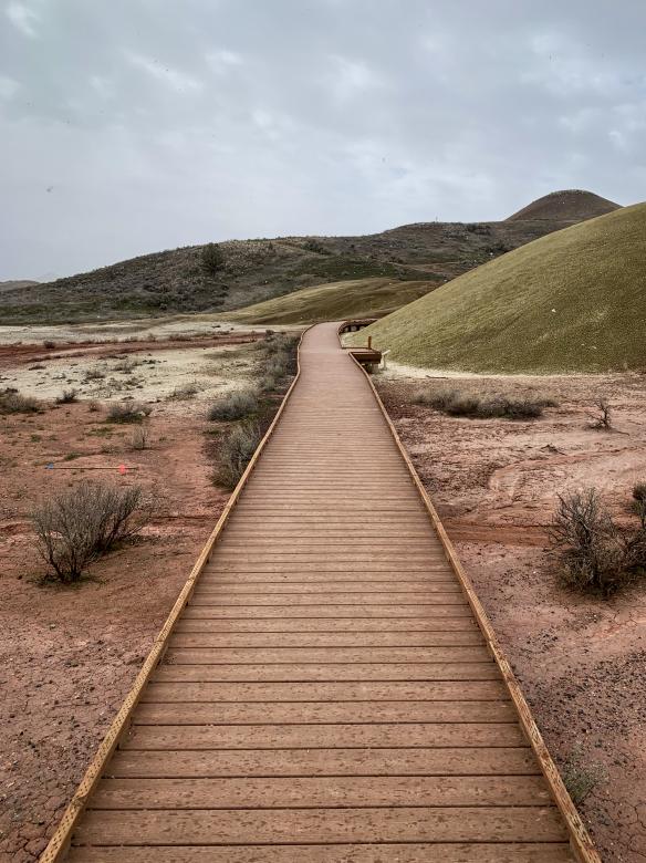 Free stock image of Rural walking path created by Matt Bango