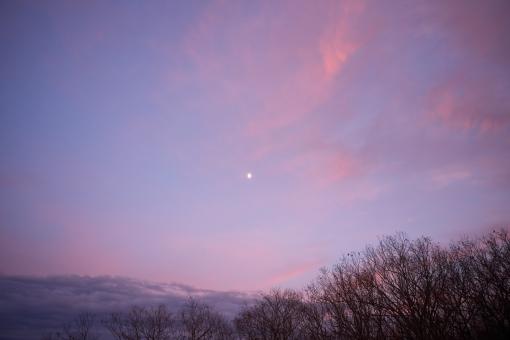 Pink sky sunset