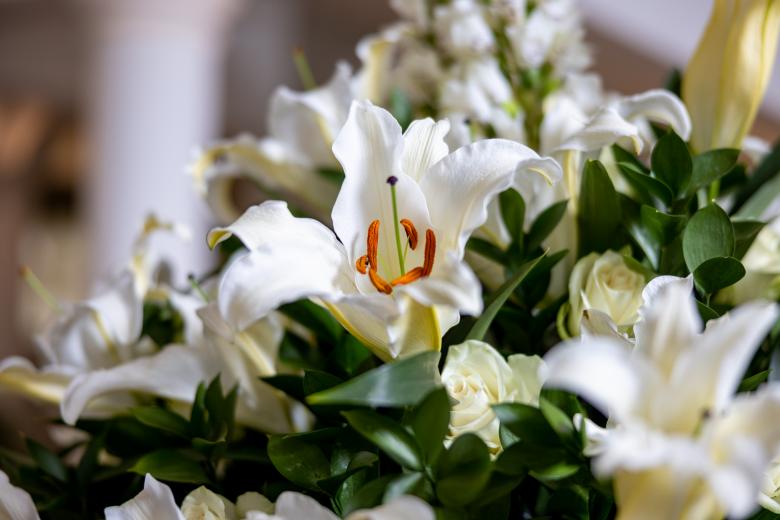 Free stock image of Floral bouquet created by Matt Bango