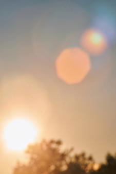 Defocus Sunlight Sky