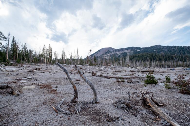 Free stock image of Forest fire landscape created by Matt Bango