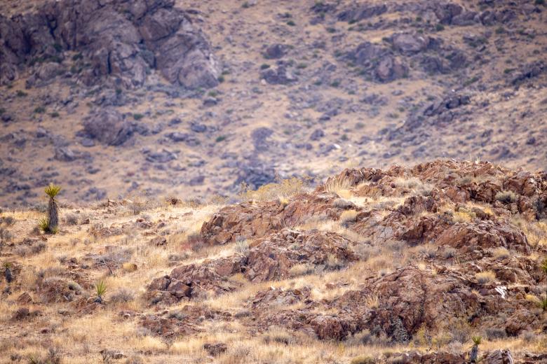 Free stock image of Desert Landscape created by Matt Bango