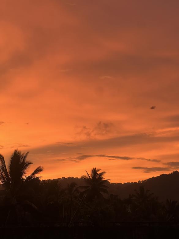Free stock image of Golden Sky at Dusk created by Infinity Focus