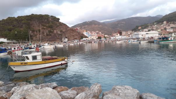 Coastal Harbor Tranquility