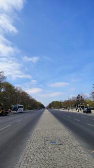 Long Straight Road Lined with Trees on Sunny Day Blue Sky