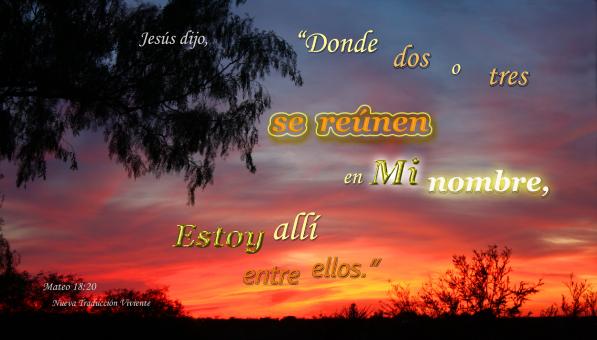 Se Reunen en Mi Nombre 