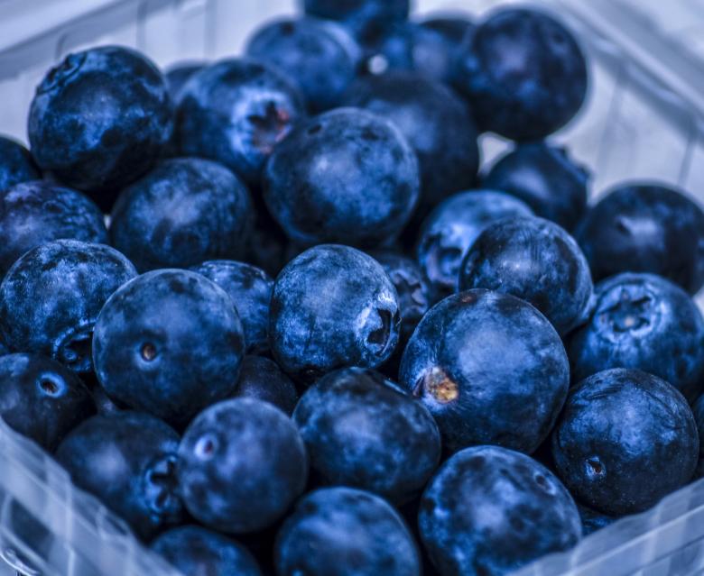Free stock image of Fresh Blue Berries created by Photostockeditor