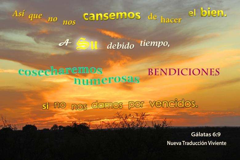 Free stock image of Hacer El Bien created by DFNatureAwed