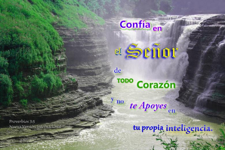 Free stock image of Confia en el Senor de Todo Corazon created by DFNatureAwed