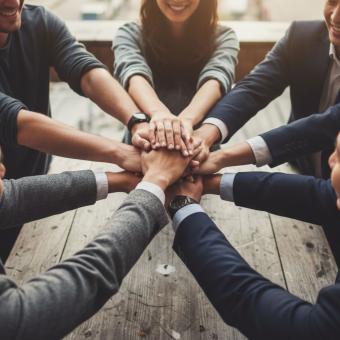 Teamwork and success: Group of diverse professionals celebrating achie