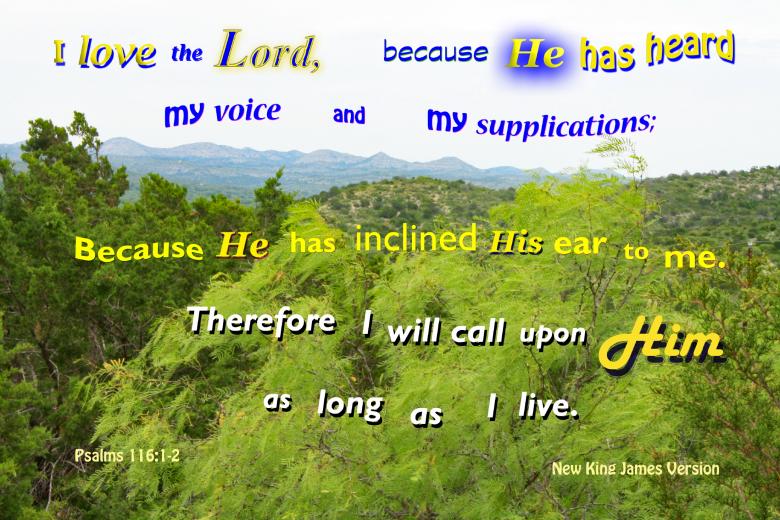 Free stock image of Call on the Lord created by DFNatureAwed