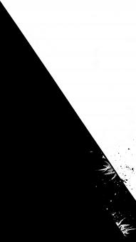 Abstract Contrast of Black and White with Textured Highlights Capturin