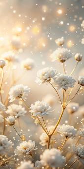 Soft delicate white flowers shimmering with golden light and bokeh eff