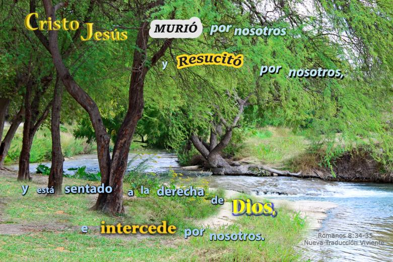 Free stock image of Jesus Intercede Por Nosotros created by DFNatureAwed