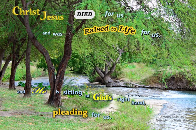 Free stock image of Jesus Pleads for Us created by DFNatureAwed