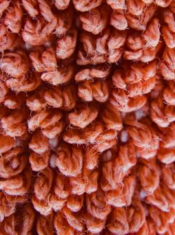 Fabric texture