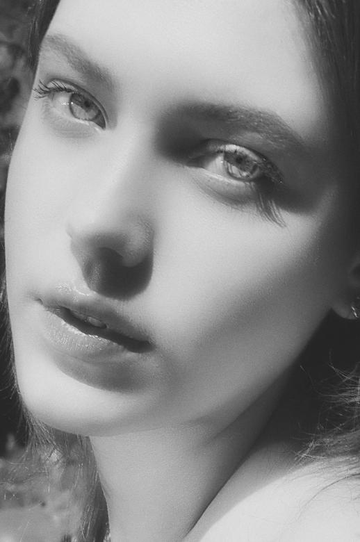 Free stock image of monochrome created by Alexander Krivitskiy